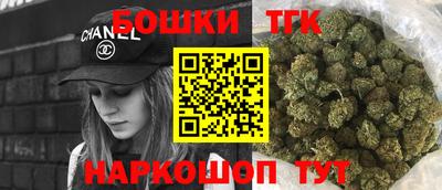 индика Тверь