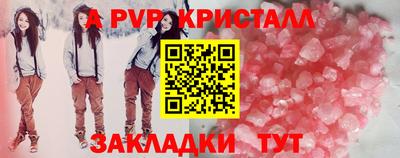 индика Тверь