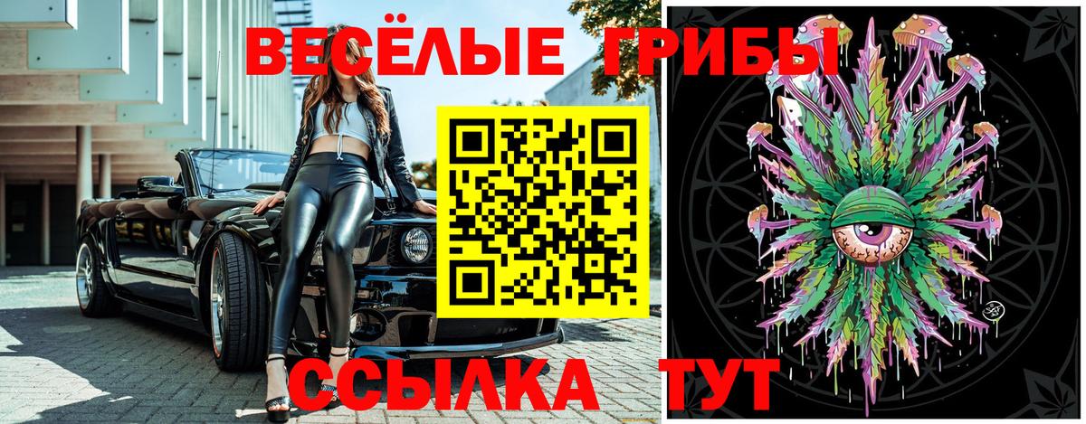 Асбест  Псилоцибиновые грибы Psilocybine cubensis  Вход с VPN 